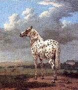POTTER, Paulus The Piebald Horse oil painting